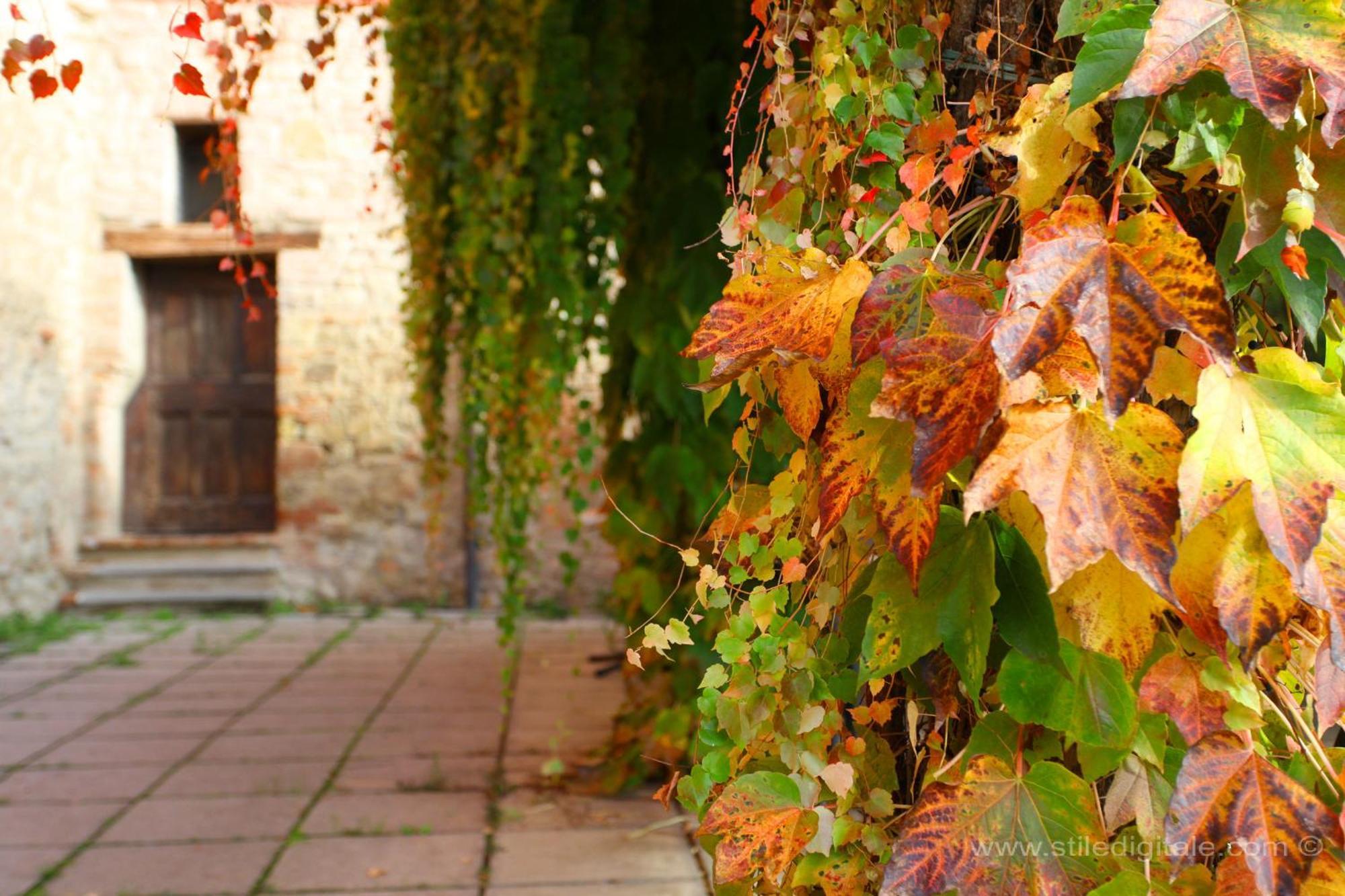 Corte D'Aibo Monteveglio ภายนอก รูปภาพ