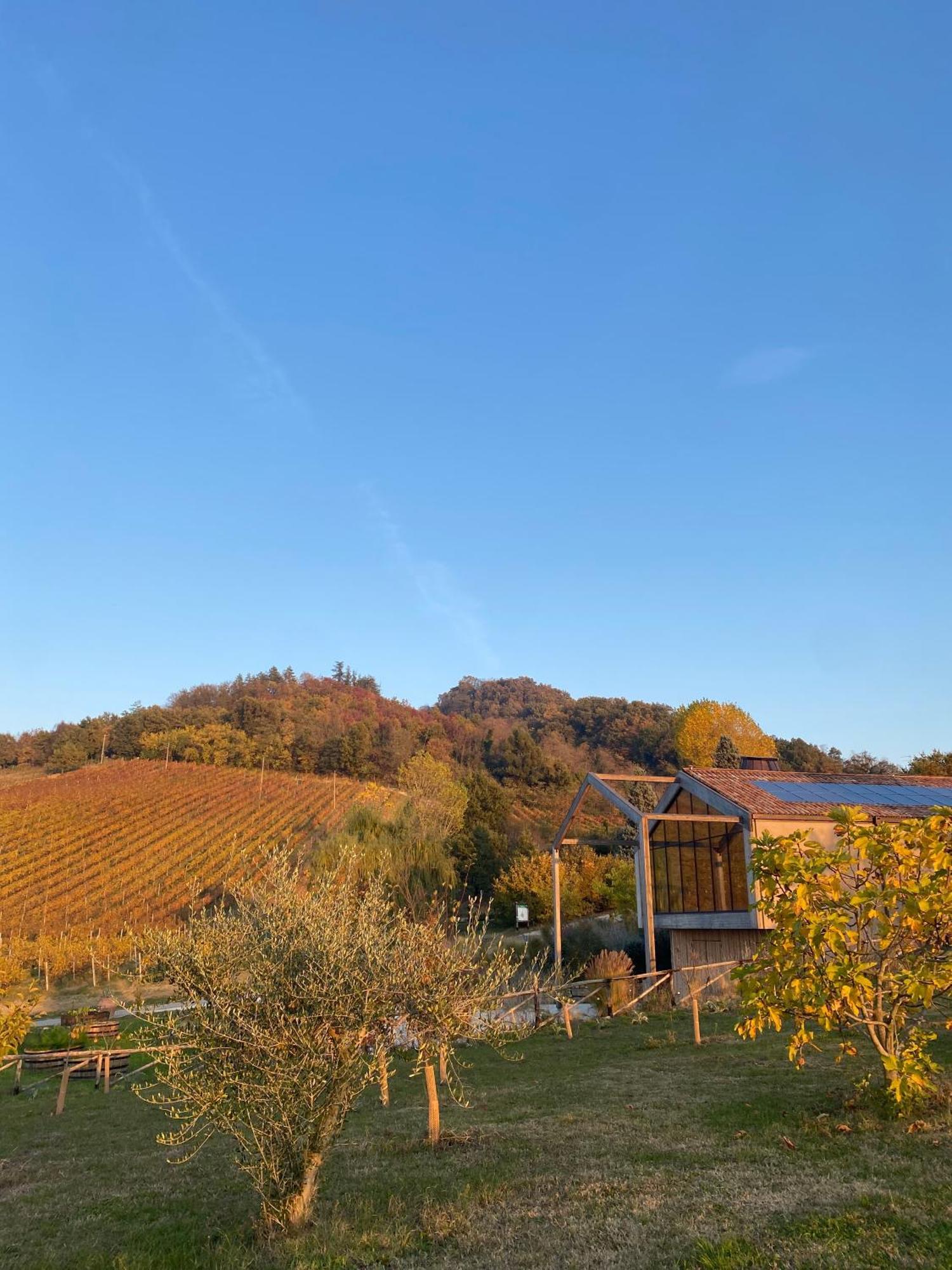 Corte D'Aibo Monteveglio ภายนอก รูปภาพ