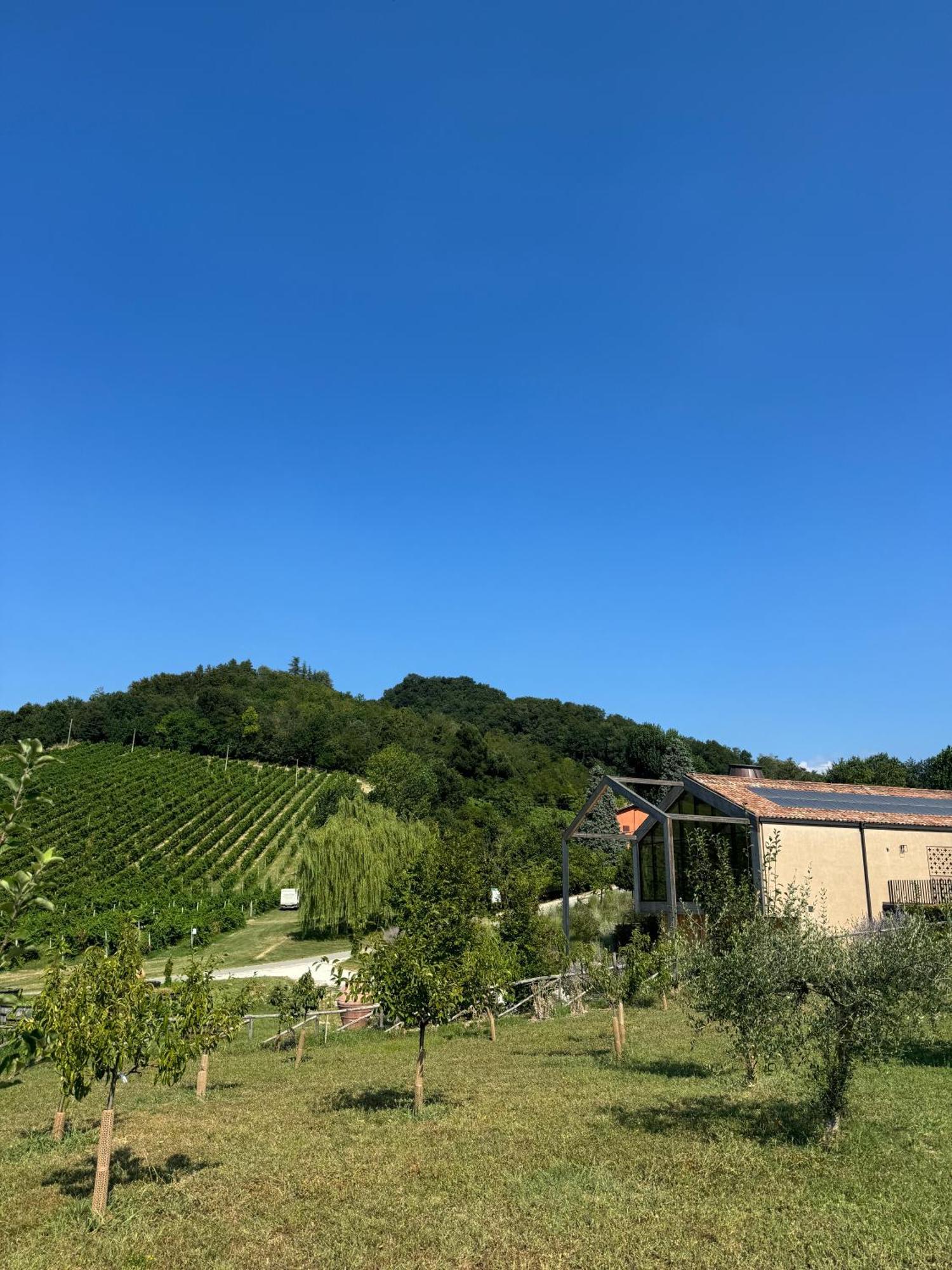 Corte D'Aibo Monteveglio ภายนอก รูปภาพ