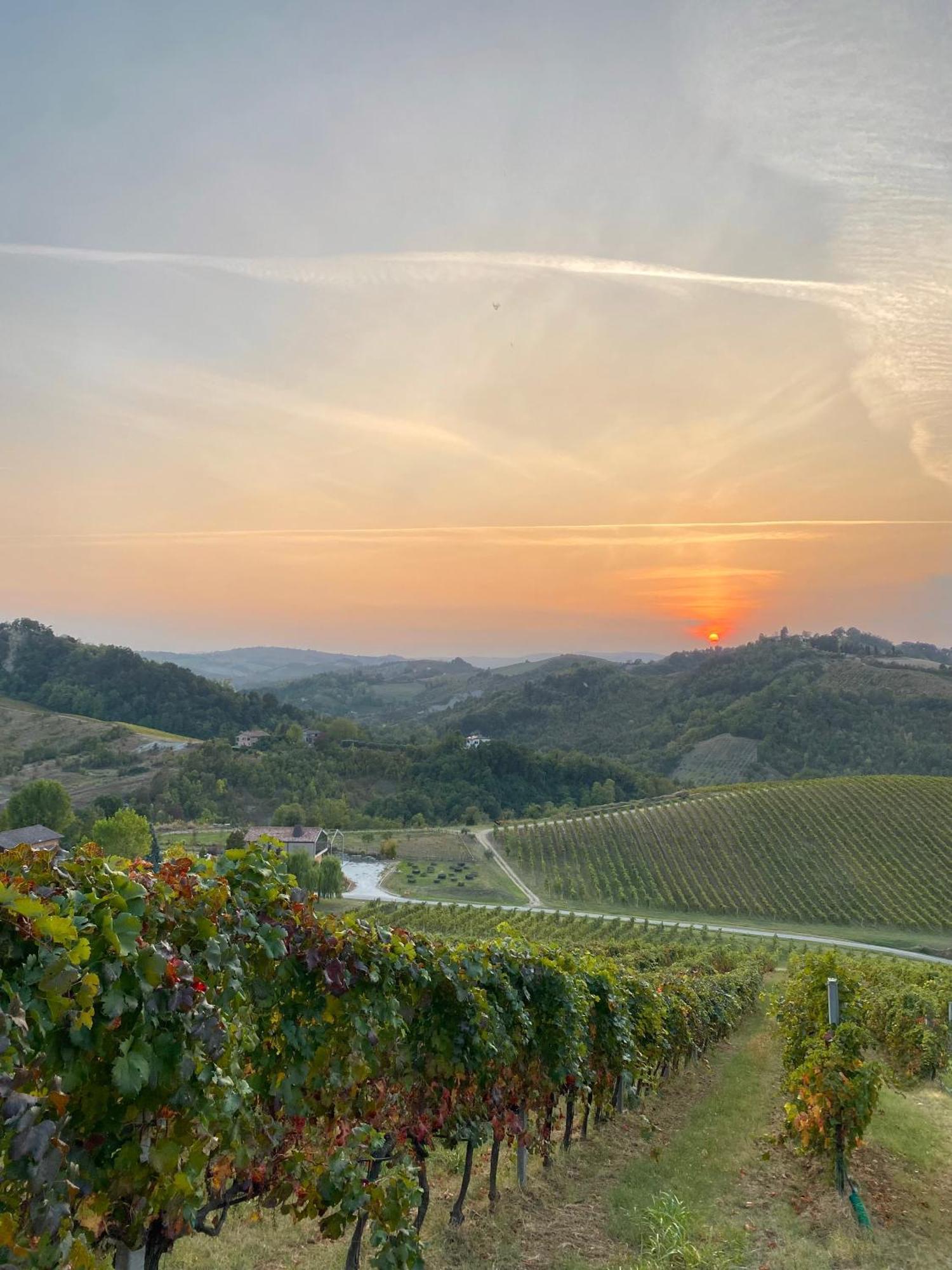Corte D'Aibo Monteveglio ภายนอก รูปภาพ