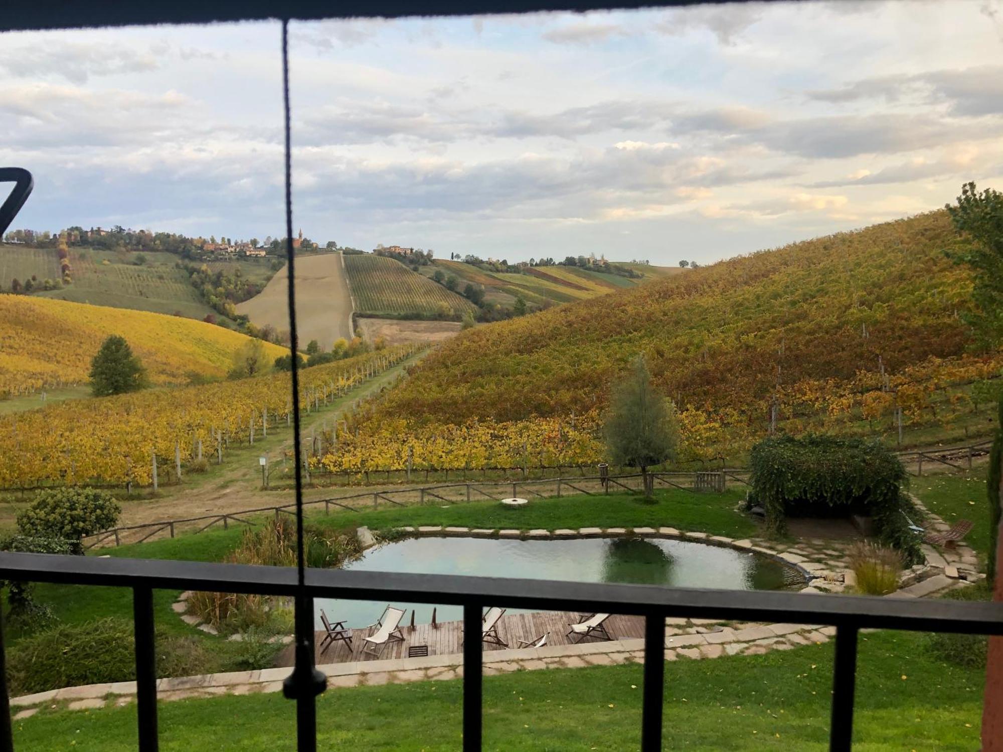 Corte D'Aibo Monteveglio ภายนอก รูปภาพ