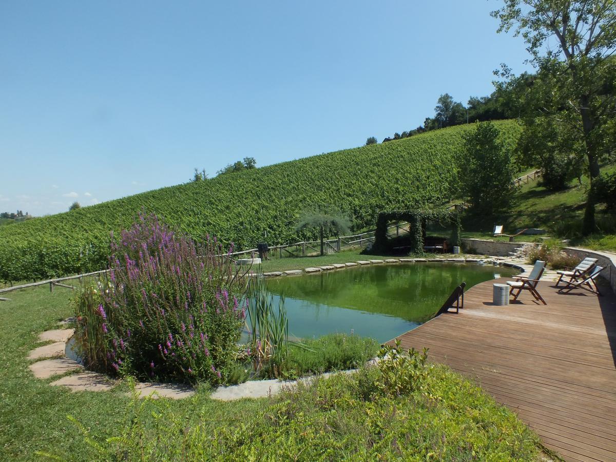 Corte D'Aibo Monteveglio ภายนอก รูปภาพ