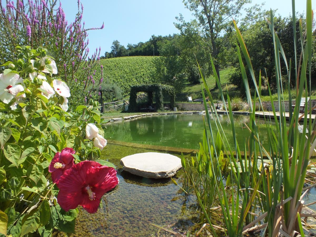 Corte D'Aibo Monteveglio ภายนอก รูปภาพ