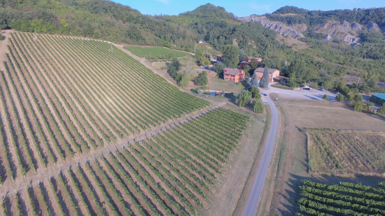 Corte D'Aibo Monteveglio ภายนอก รูปภาพ
